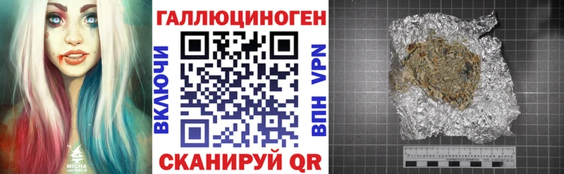 Галлюциногенные грибы Psilocybe  наркота  mega ссылки  Купино 