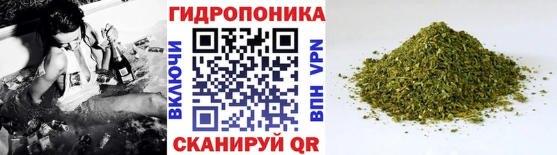 Каннабис White Widow  ОМГ ОМГ рабочий сайт  Купино 
